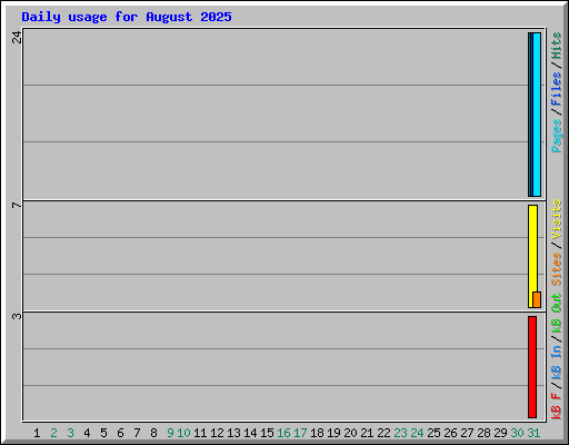 Daily usage for August 2025