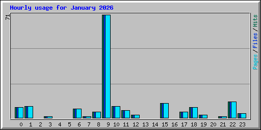Hourly usage for January 2026